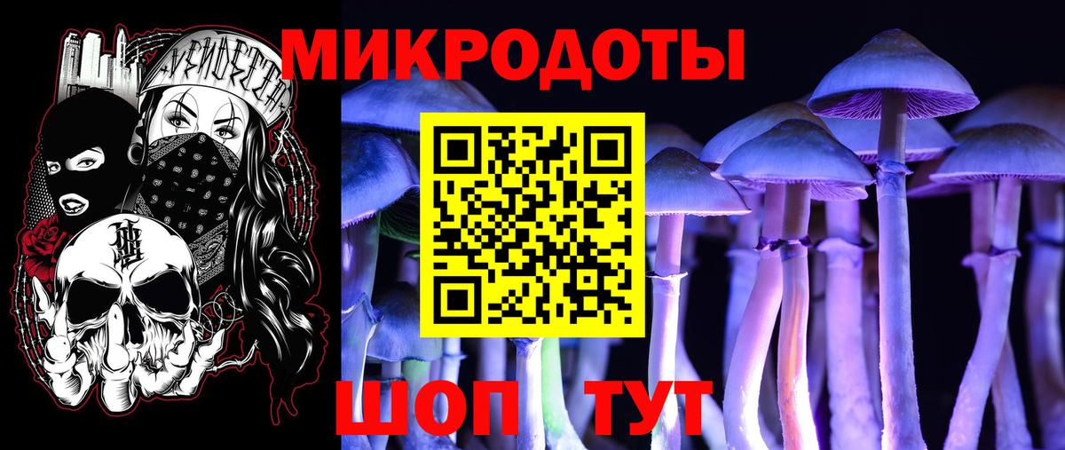 Галлюциногенные грибы прущие грибы Геленджик